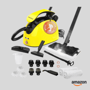 Waitbird Portable Steam Cleaner